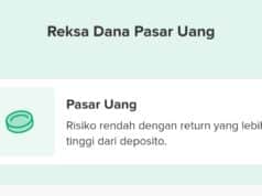 10 Reksadana Pasar Uang Terbaik 2024: Update Bulan Desember! Reksadana Pasar Uang Terbaik 2024