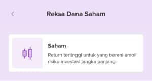 10 Reksadana Saham Terbaik 2024: Update Bulan Desember! Reksadana Saham Terbaik 2024
